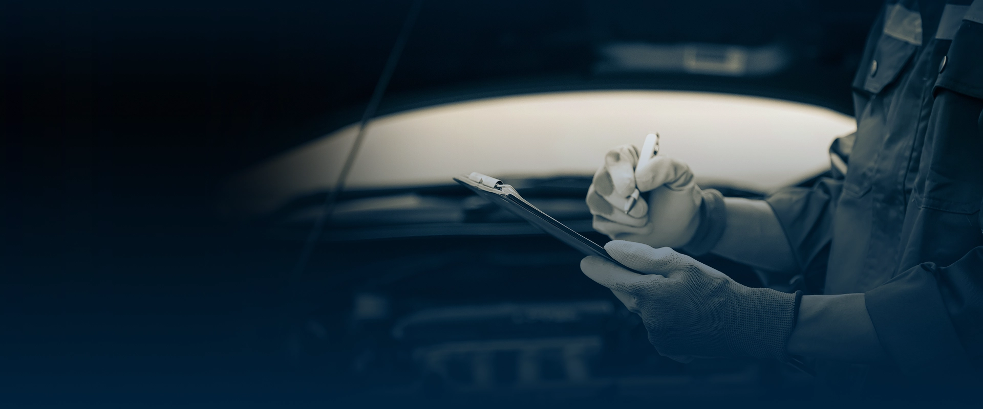 BMW Banner Image
